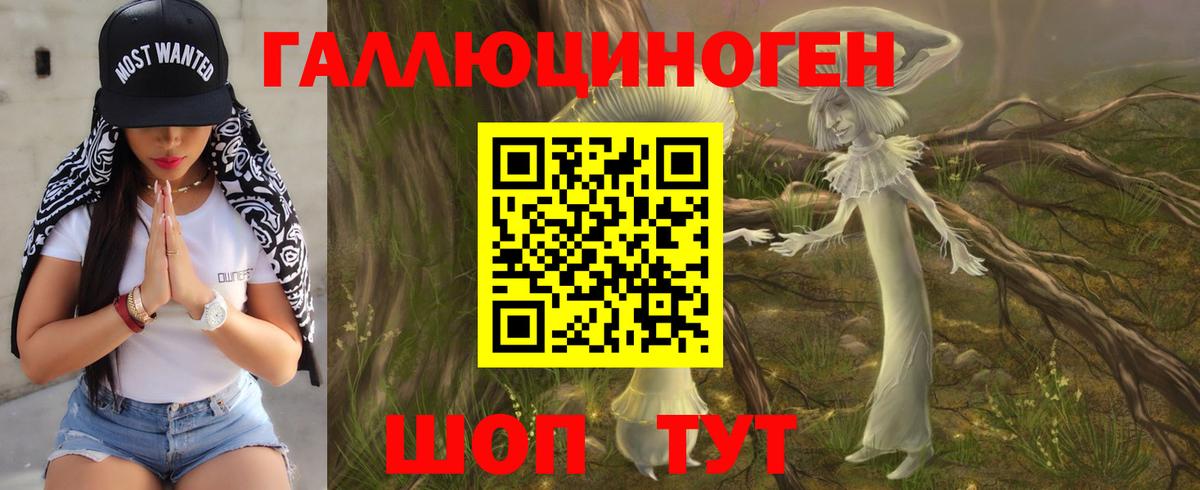 Видное  Галлюциногенные грибы GOLDEN TEACHER  Галлюциногенные грибы Magic Shrooms  Вход с VPN 