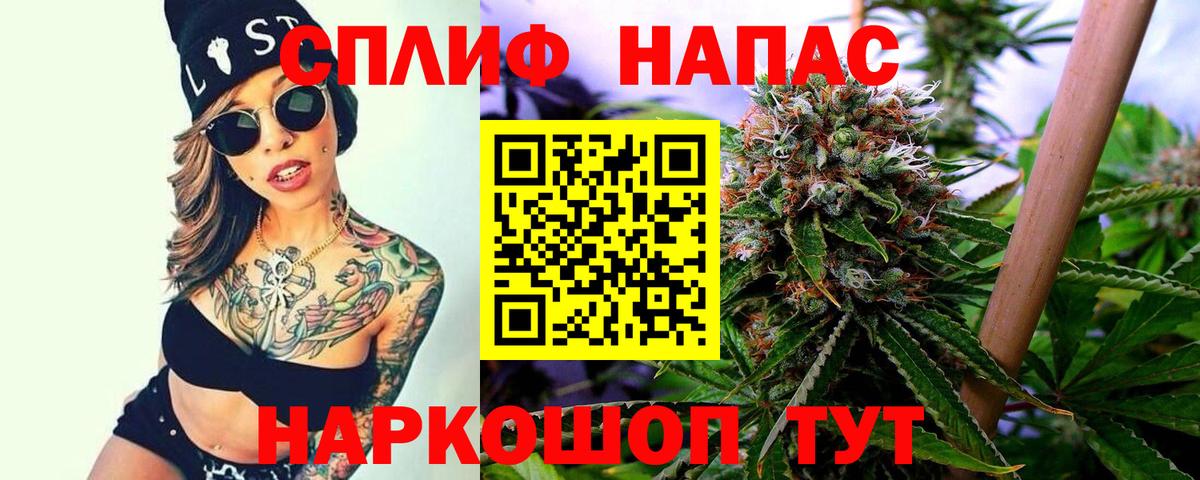 Конопля планчик Видное
